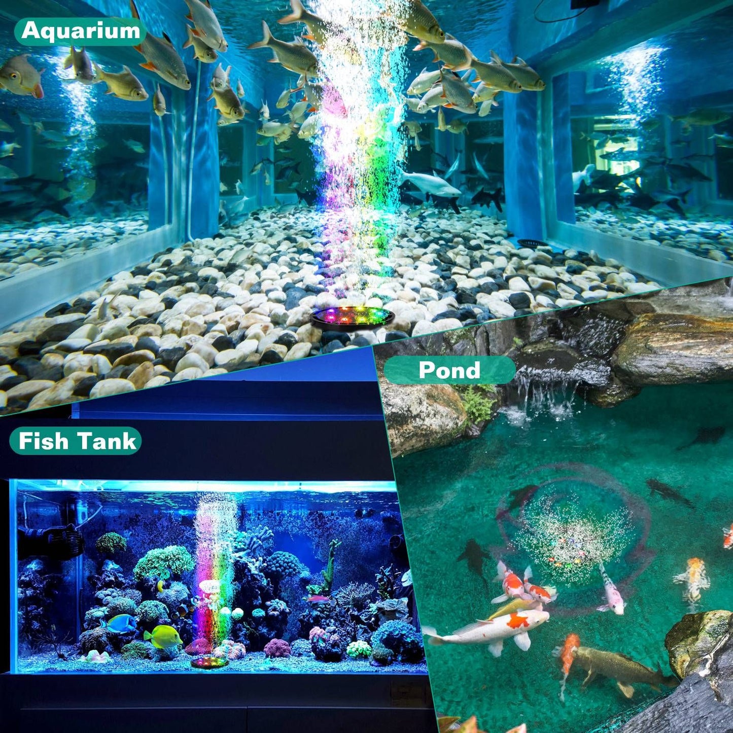 Vibrant underwater scene showcasing an aquarium, fish tank, and pond with colorful LED bubble display, featuring various fish swimming among pebbles and coral.