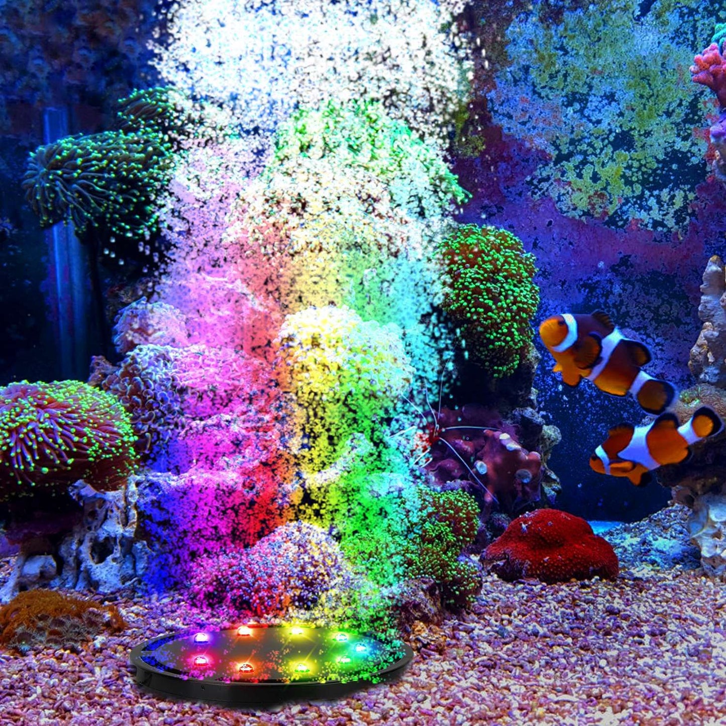 Colorful underwater aquarium air stone creating vibrant bubbles and LED light effects, with clownfish swimming among bright coral and aquatic plants.