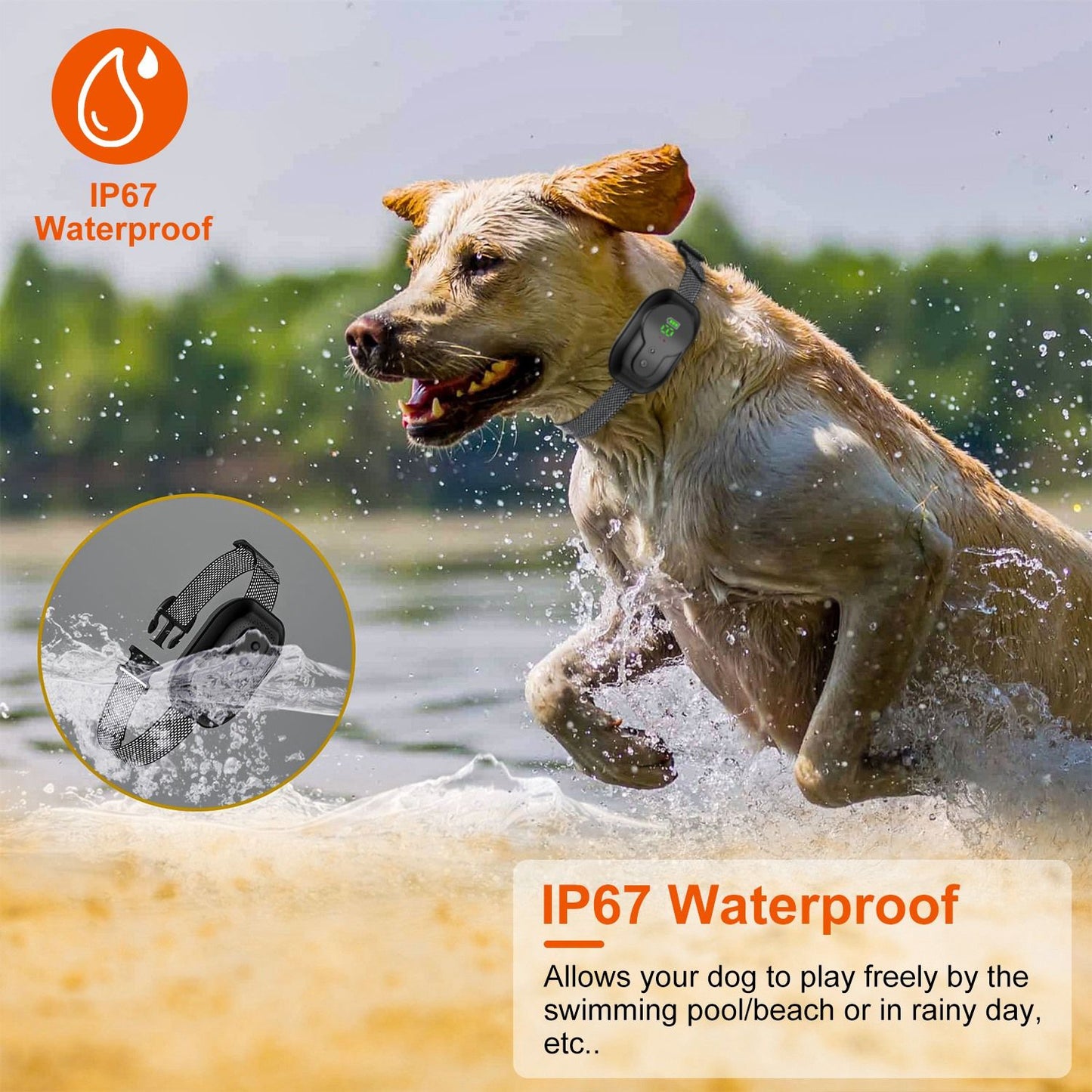 Labrador retriever running joyfully in water with a waterproof collar, showcasing the product's IP67 waterproof feature, perfect for outdoor activities in any weather.