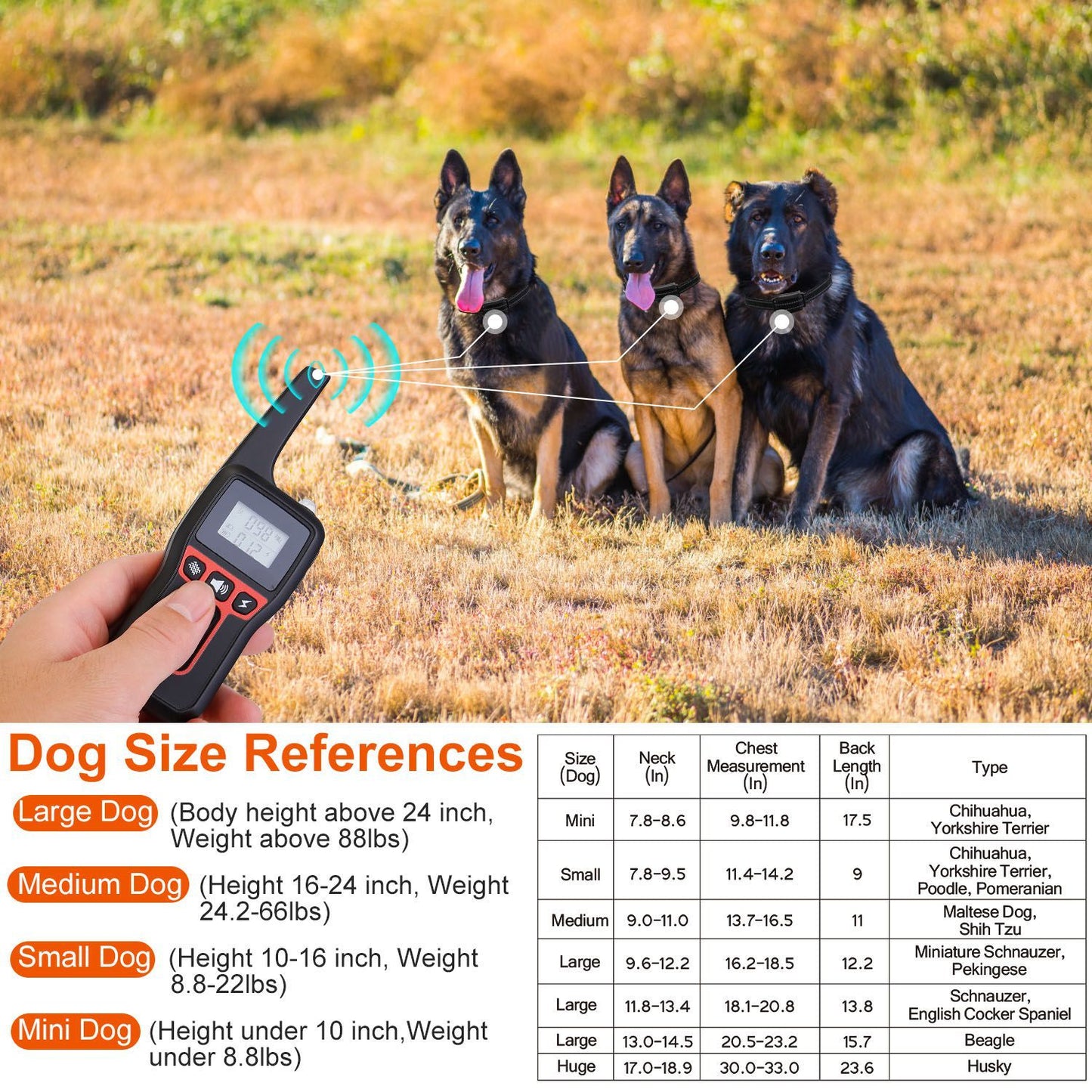 Remote dog training device being used by a person with three dogs in the background on a grassy field, showcasing the product functionality with visible size references for various dog breeds.