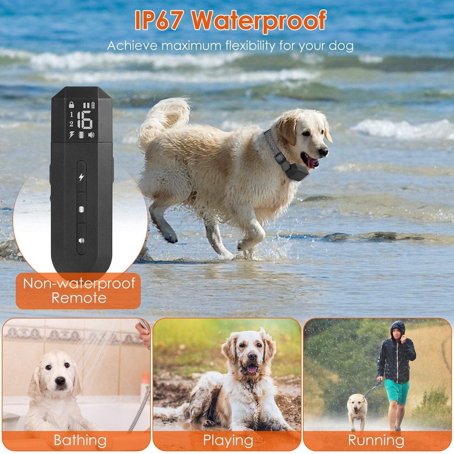Waterproof dog training remote control with digital display, showcasing a golden retriever playing in water, ideal for outdoor training in varying conditions.