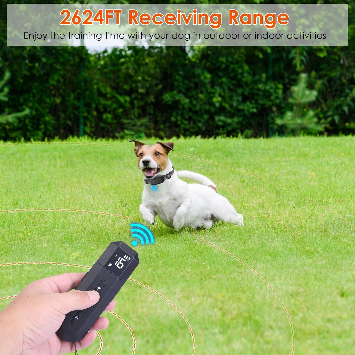 Hand holding a training remote with a display and buttons, aimed at a small white dog sitting on grass, demonstrating a 2624FT receiving range for effective indoor or outdoor dog training.