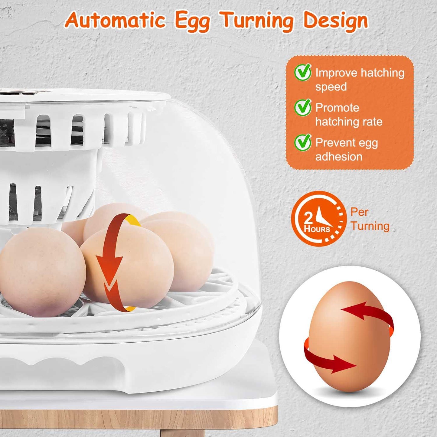 Automatic egg incubator with transparent cover, featuring five brown eggs, designed for optimal egg turning every two hours to enhance hatching speed and prevent egg adhesion.