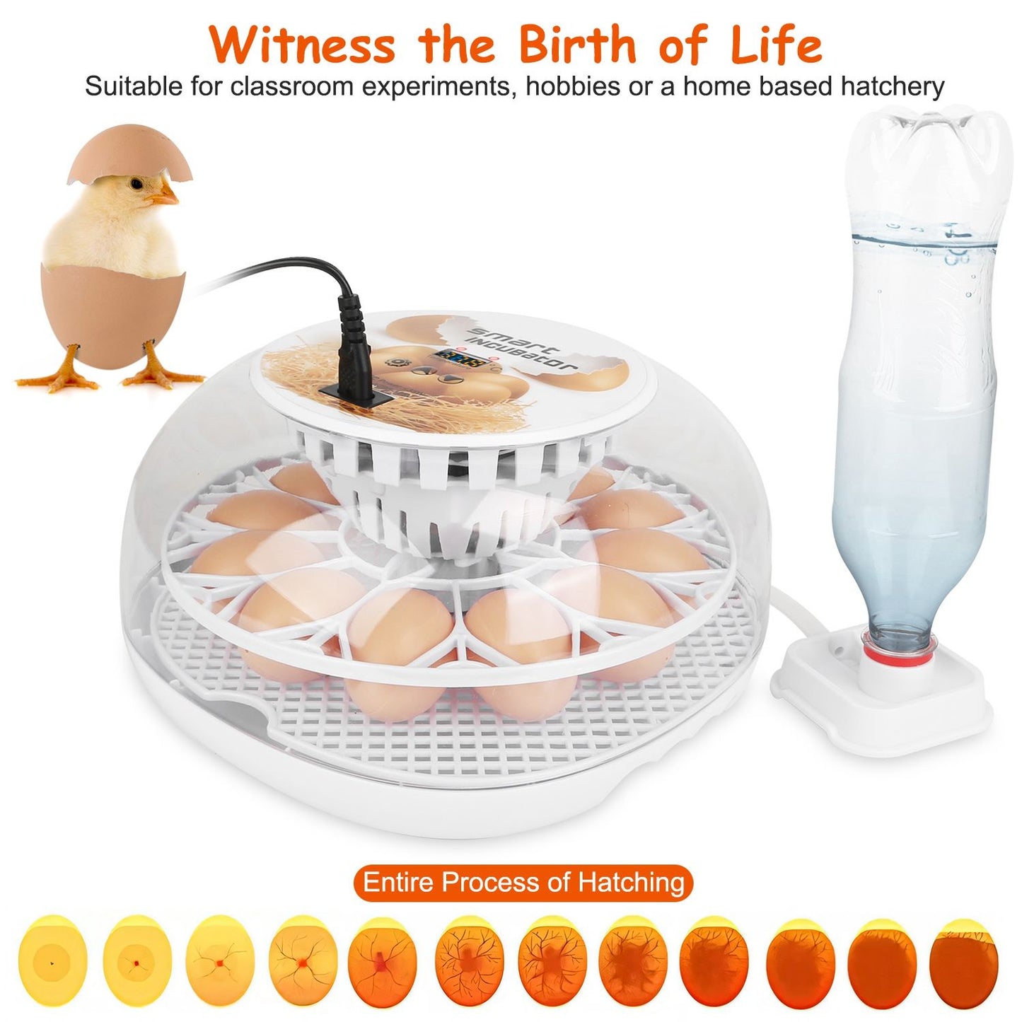 Image of a transparent egg incubator designed for hatching chicken eggs, showcasing the incubation process with visible eggs, water bottle for humidity, and graphics illustrating the stages of hatching.
