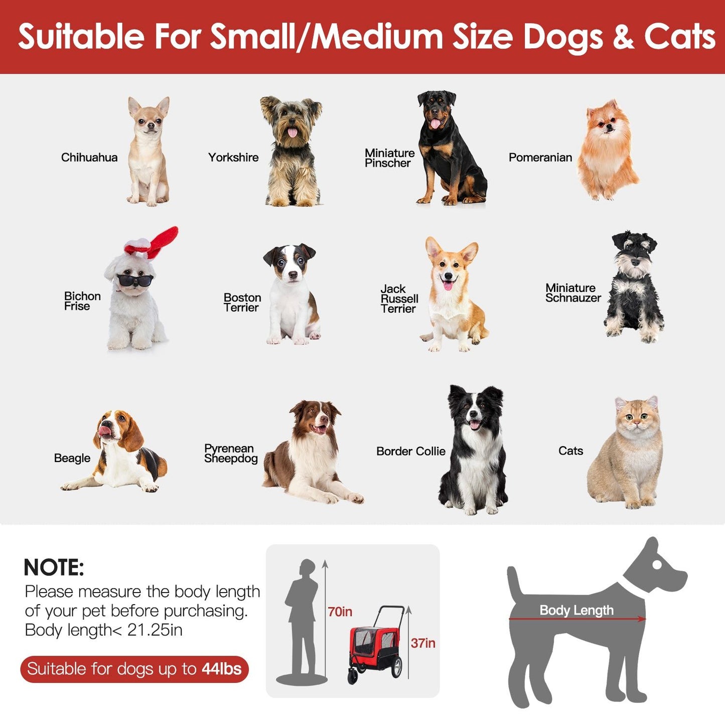Image displaying various small to medium dog and cat breeds suitable for pet carriers: Chihuahua, Yorkshire, Miniature Pinscher, Pomeranian, Bichon Frise, Boston Terrier, Jack Russell Terrier, Miniature Schnauzer, Beagle, Pyrenean Sheepdog, Border Collie, and cats, with