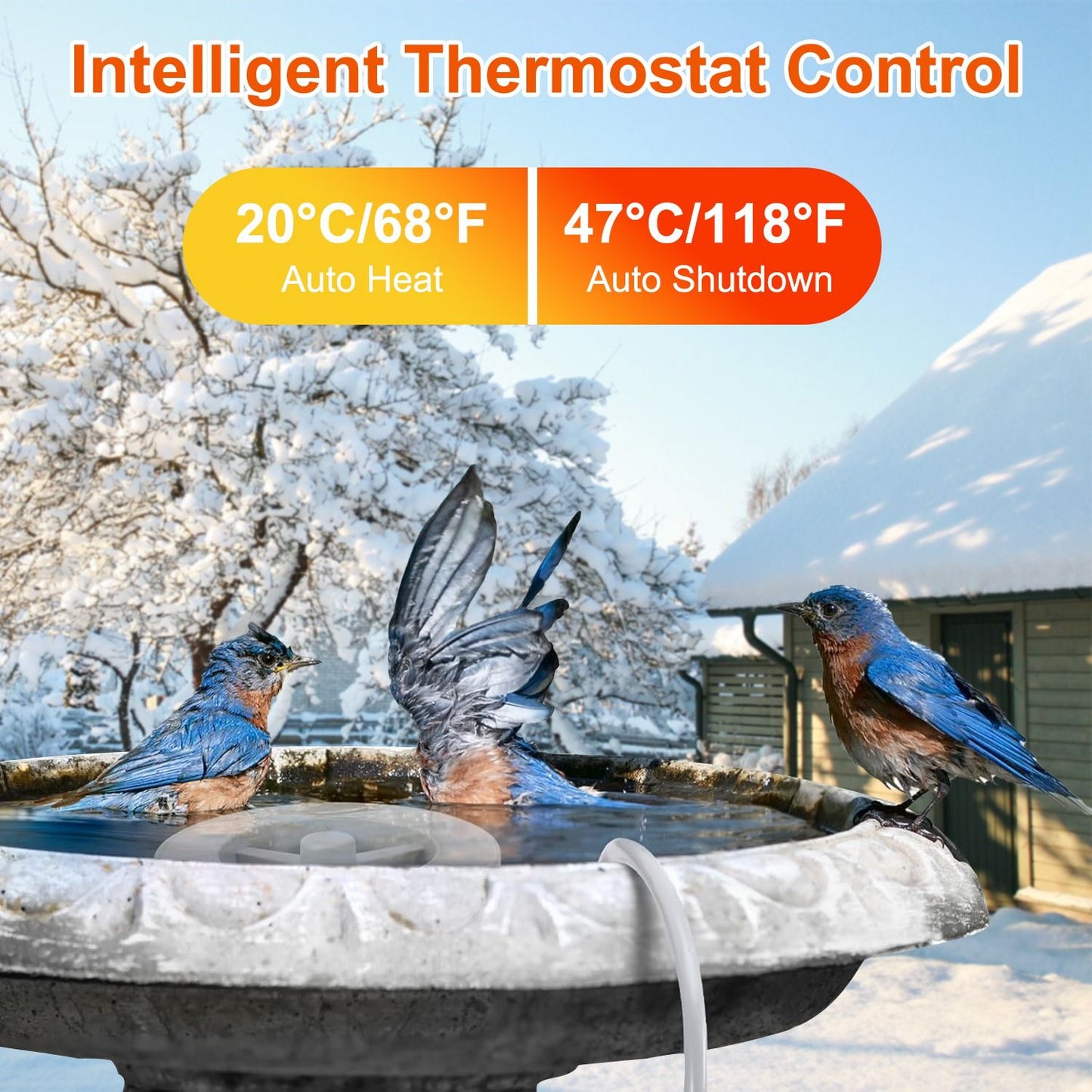 Bluebirds bathing in a heated bird bath with intelligent thermostat control, featuring temperature indicators for auto heat at 20°C/68°F and auto shutdown at 47°C/118°F, set against a snowy winter landscape.
