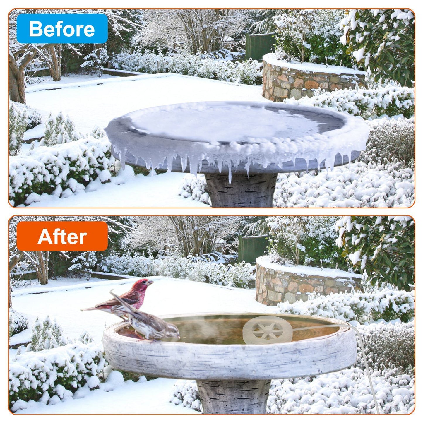 Image showing a birdbath before and after heating: the top image displays a frozen birdbath covered in ice, while the bottom image features a thawed birdbath with birds enjoying it in a snowy garden setting, illustrating effective winter bird care.