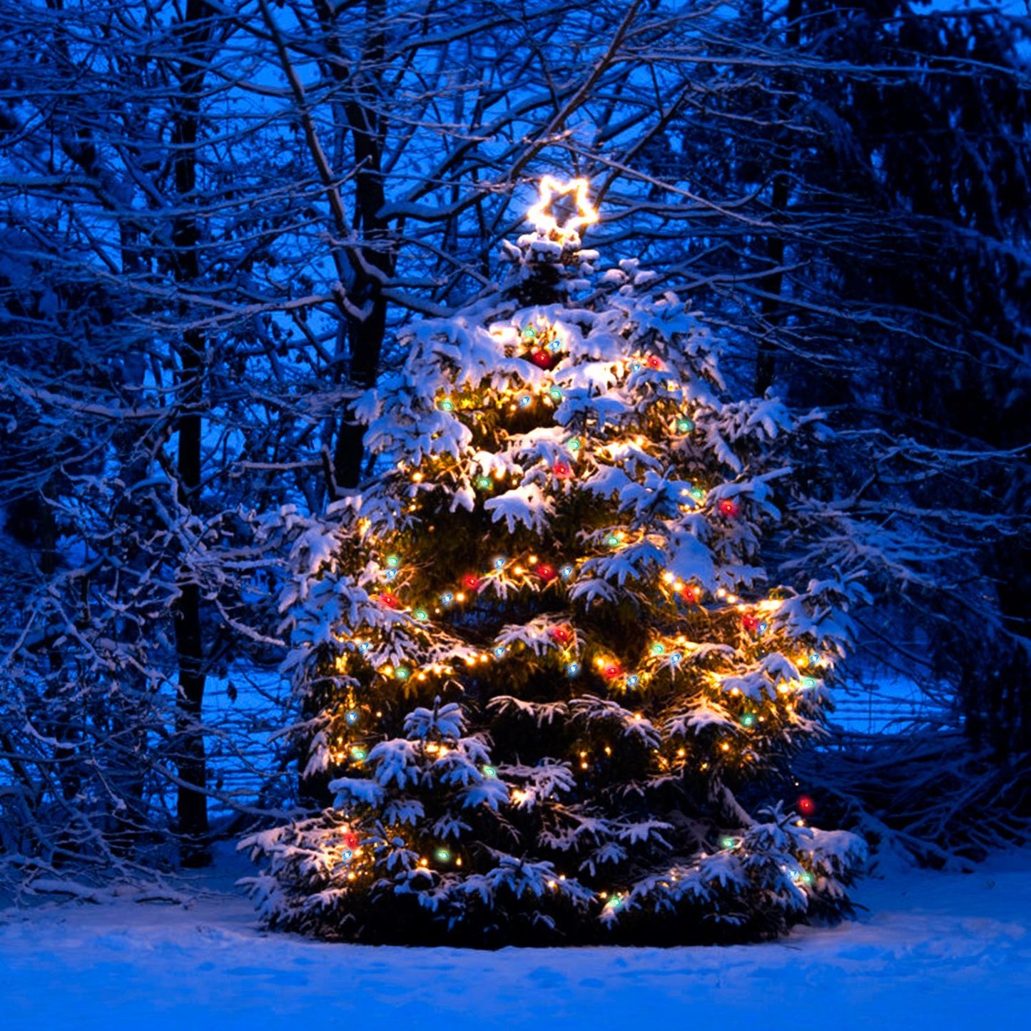 Snow-covered Christmas tree adorned with colorful lights and a star topper, glowing softly in a winter landscape at dusk.