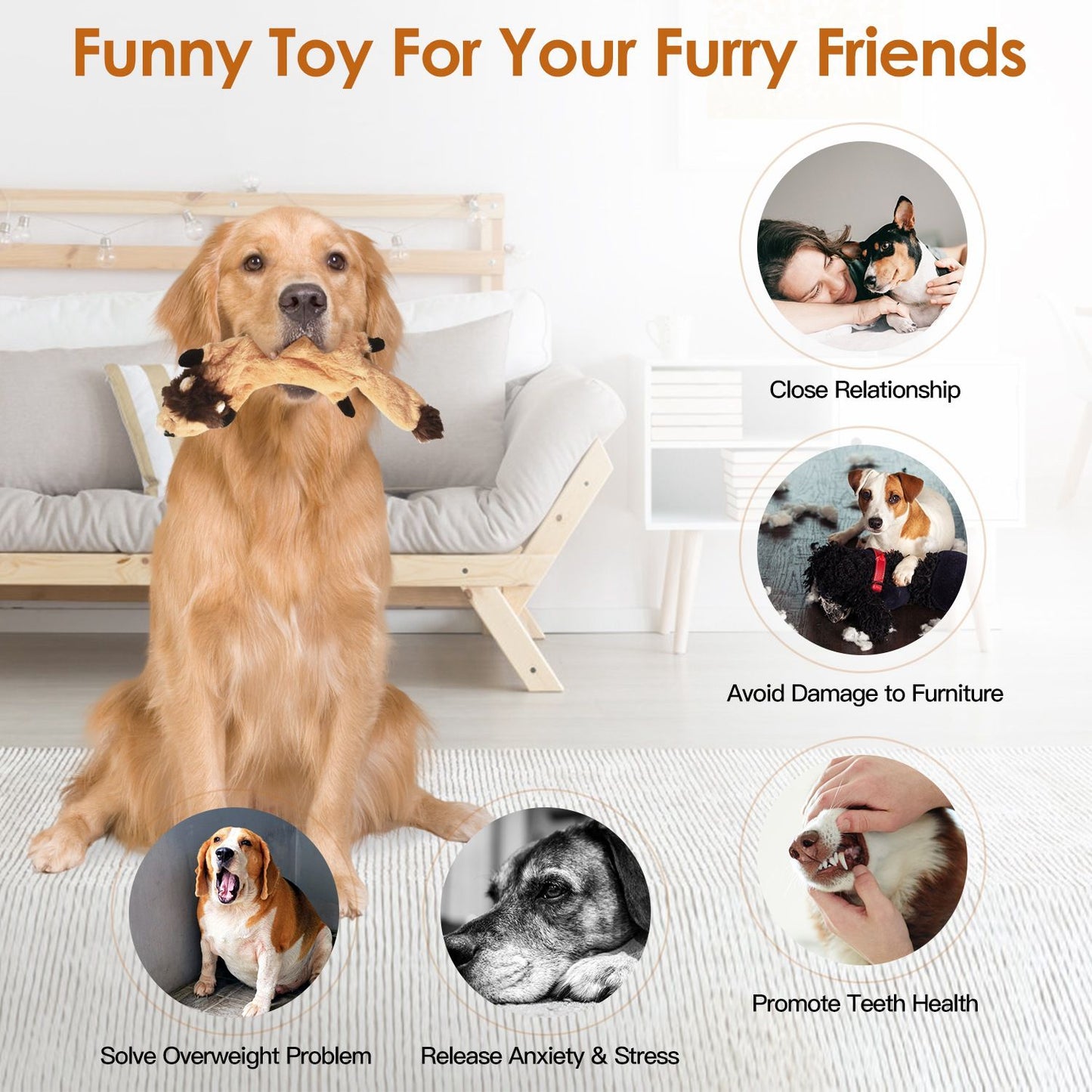 Golden Retriever holding a chew toy, surrounded by benefits like promoting teeth health, reducing anxiety, and preventing furniture damage, in a cozy living room setting.
