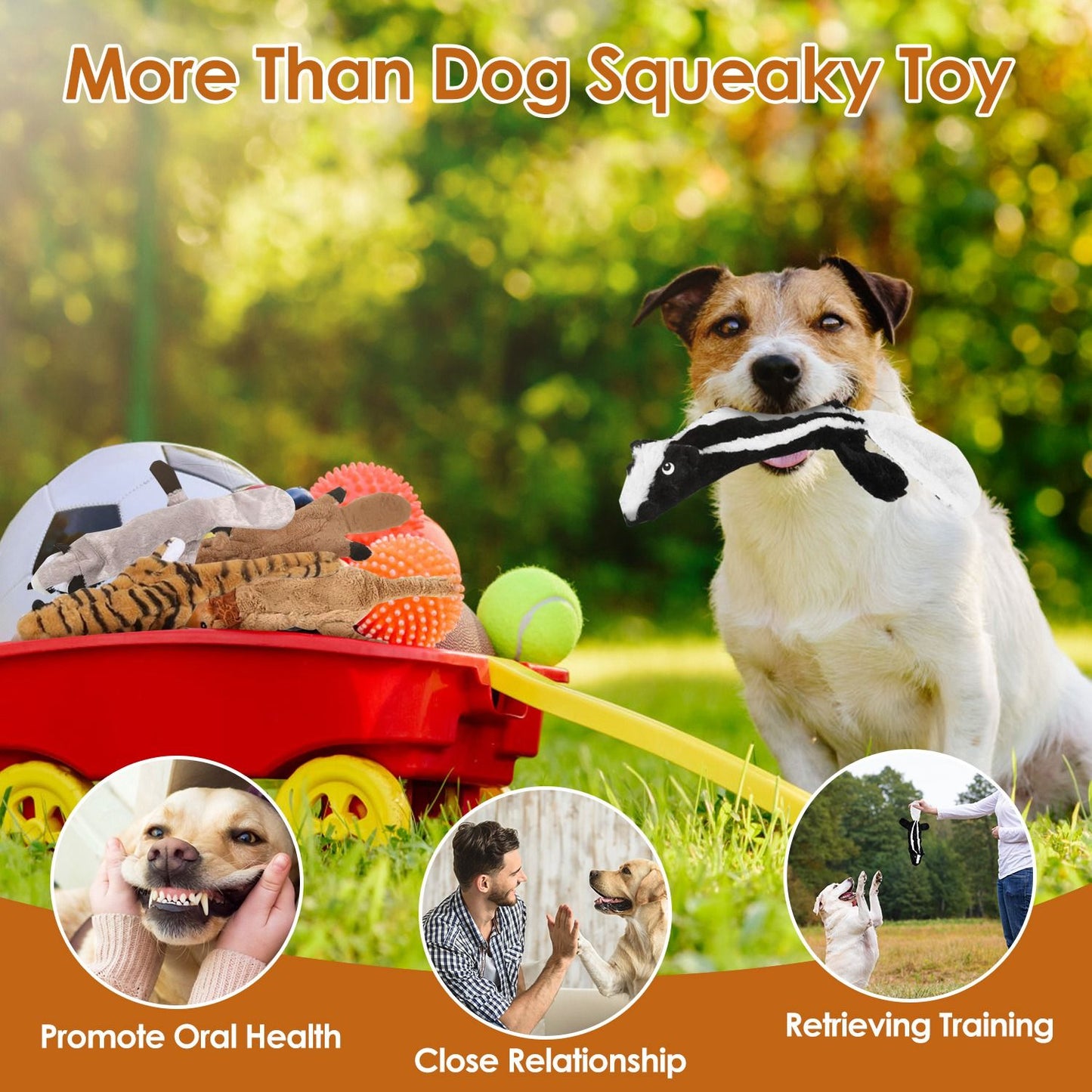 A happy dog holding a squeaky toy in its mouth, surrounded by colorful toys in a red wagon on a sunny day, promoting fun activities for oral health, bonding, and training.