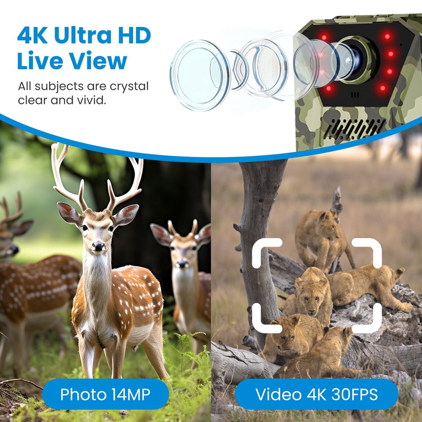4K Ultra HD live view product image showcasing a photo of a deer with 14MP clarity on the left and a 4K 30FPS video of lions on the right, emphasizing high-quality wildlife camera features.