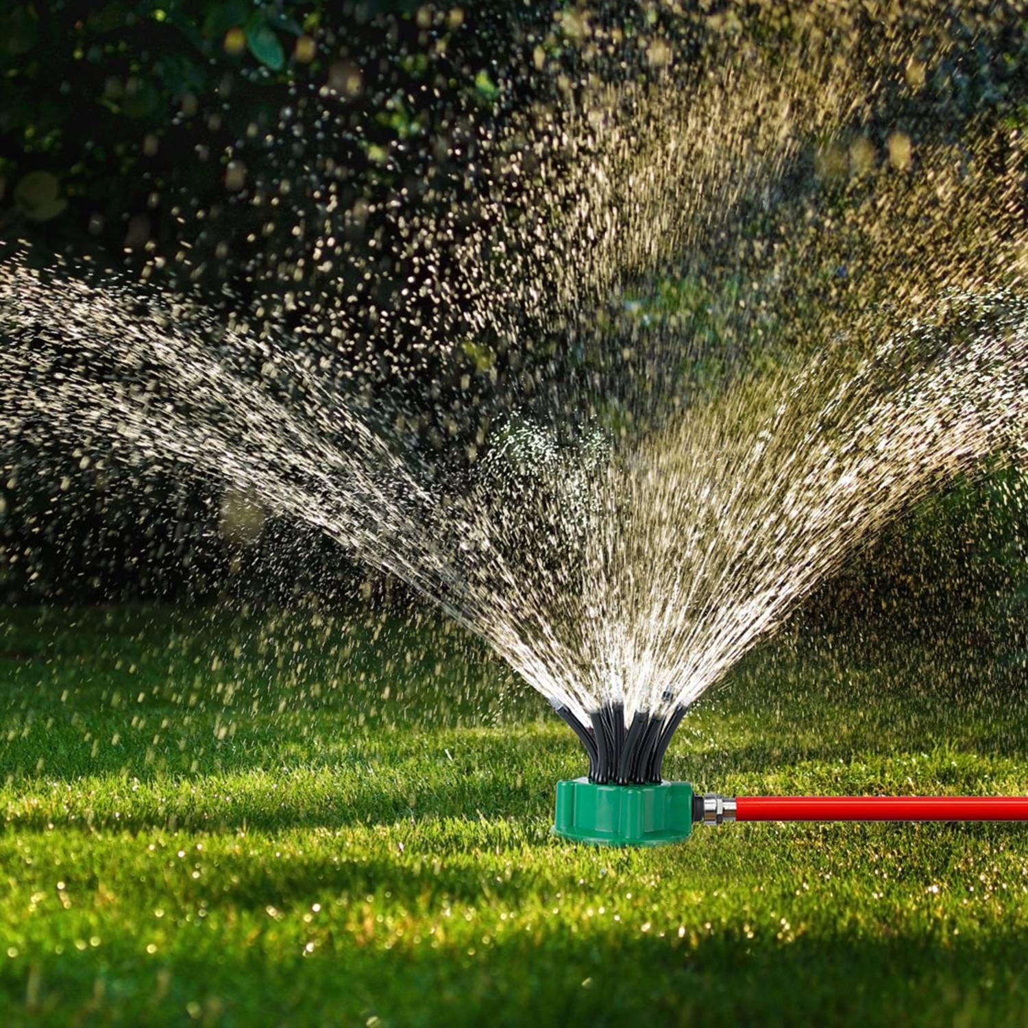 Lawn sprinkler spraying water over green grass in a garden setting with a red hose connected.
