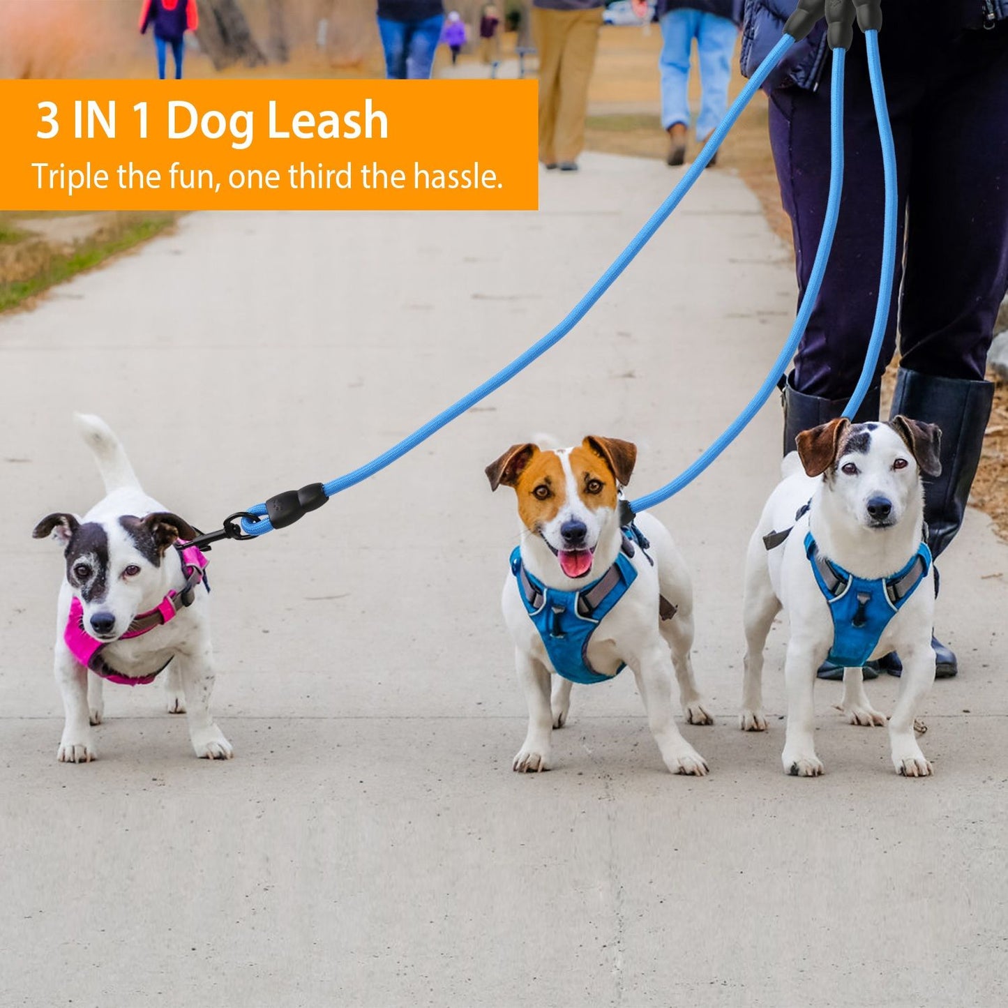 Three dogs walking on a sidewalk, attached to a blue 3-in-1 dog leash, showcasing an easy way to walk multiple pets simultaneously.