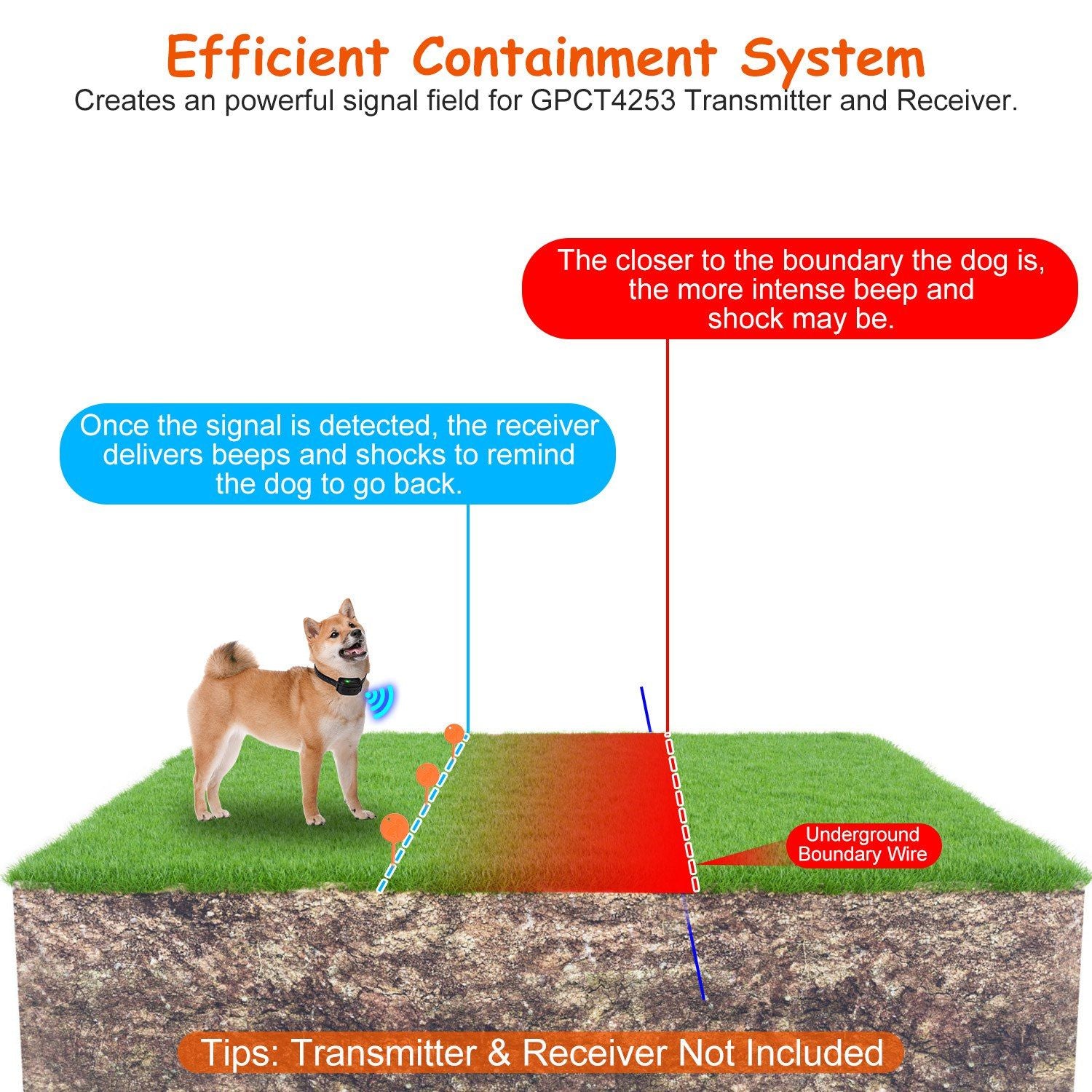 Dog containment system diagram illustrating a Shiba Inu with a collar receiving signals, highlighting the boundary detection feature and operational mechanics of the GPCT4253 transmitter and receiver.