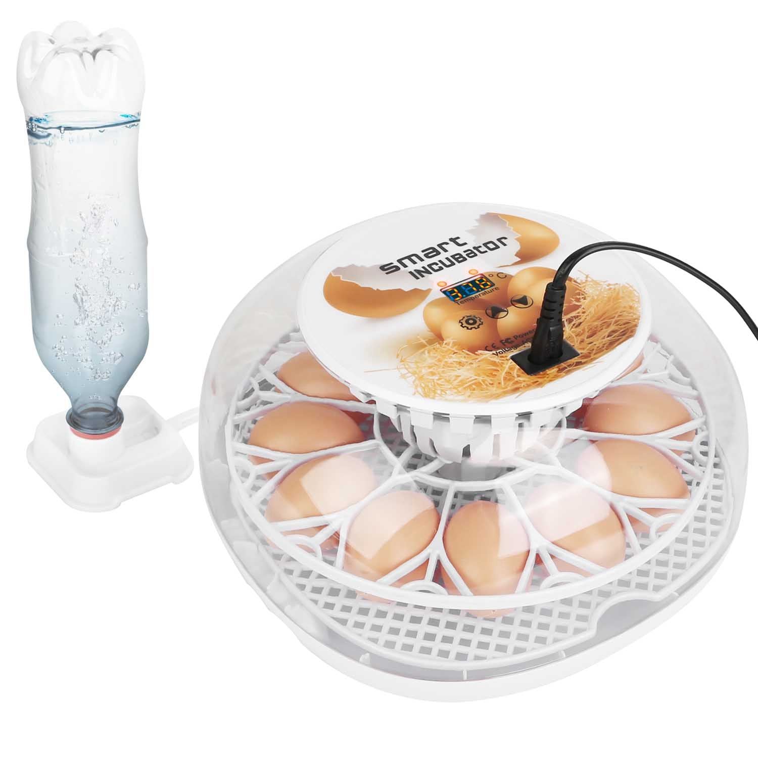 Smart egg incubator with digital display, featuring a transparent design and space for multiple eggs, accompanied by a water bottle for humidity control.