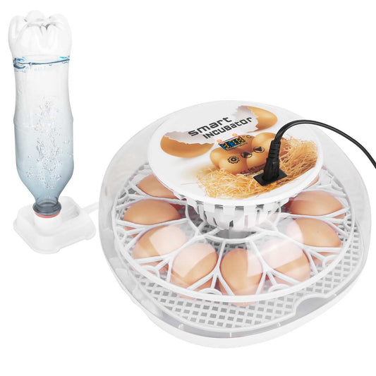 Smart egg incubator with digital display, featuring a transparent design and space for multiple eggs, accompanied by a water bottle for humidity control.