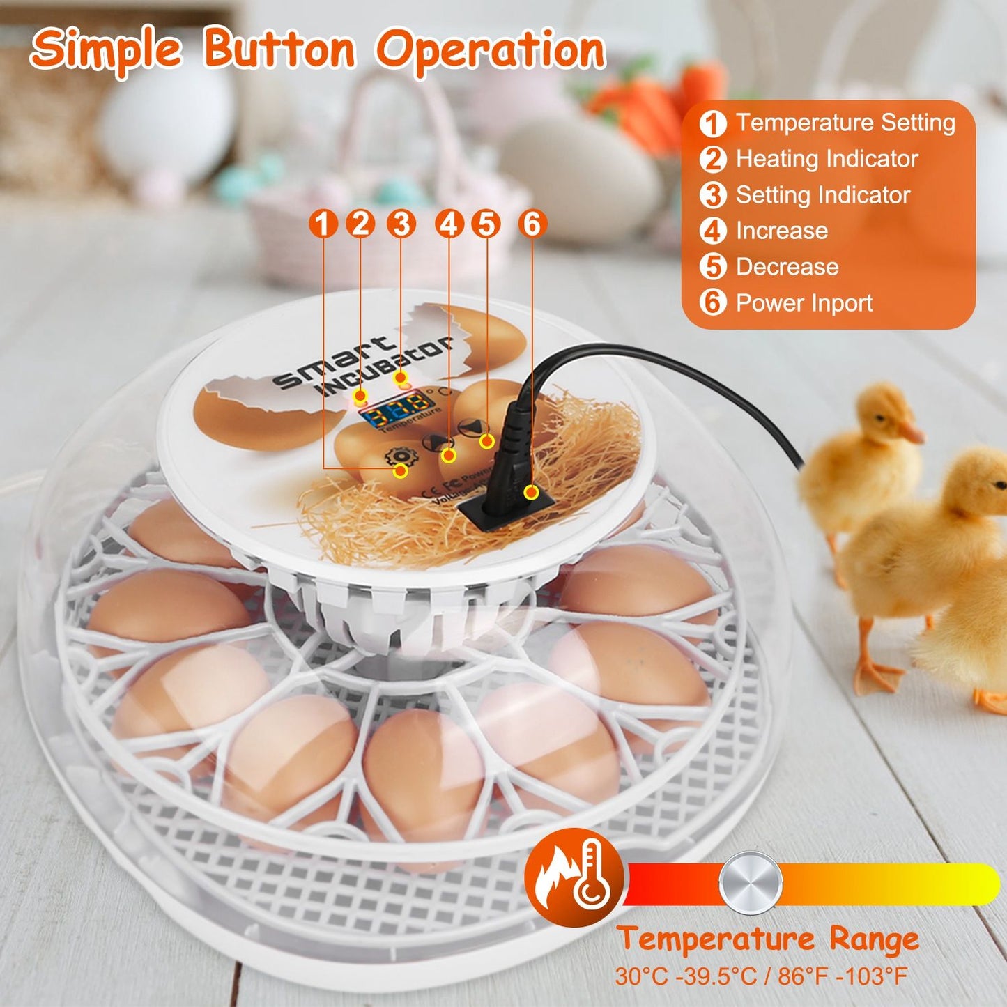 Smart egg incubator with simple button operation, displaying temperature settings and indicators, surrounded by eggs and chicks, suitable for hatching eggs.