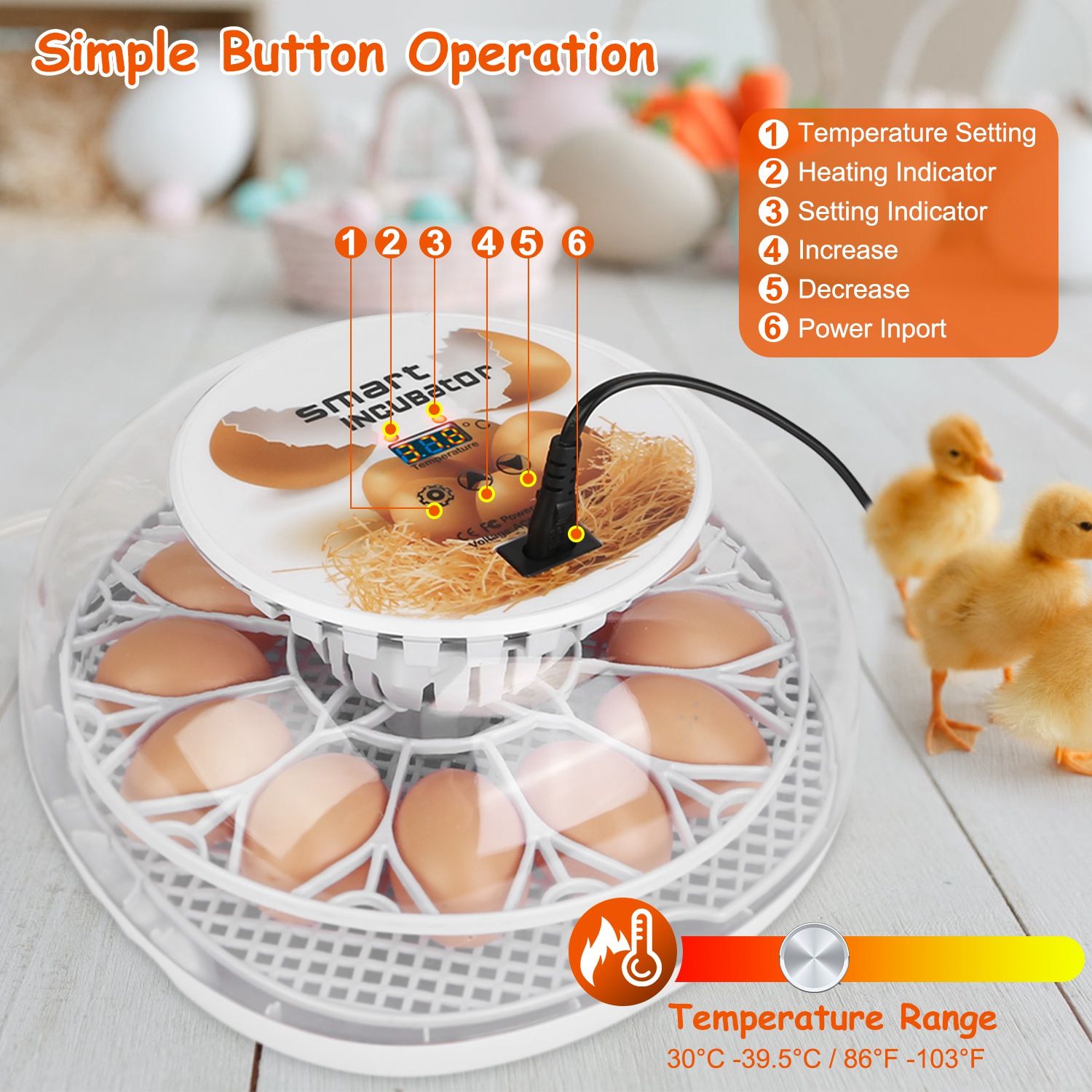Smart egg incubator with simple button operation, displaying temperature settings and indicators, surrounded by eggs and chicks, suitable for hatching eggs.