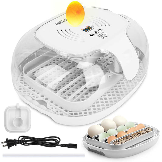 Automatic egg incubator with transparent lid, digital temperature control, a capacity for multiple eggs, and included accessories like a water filling cup and power cord.