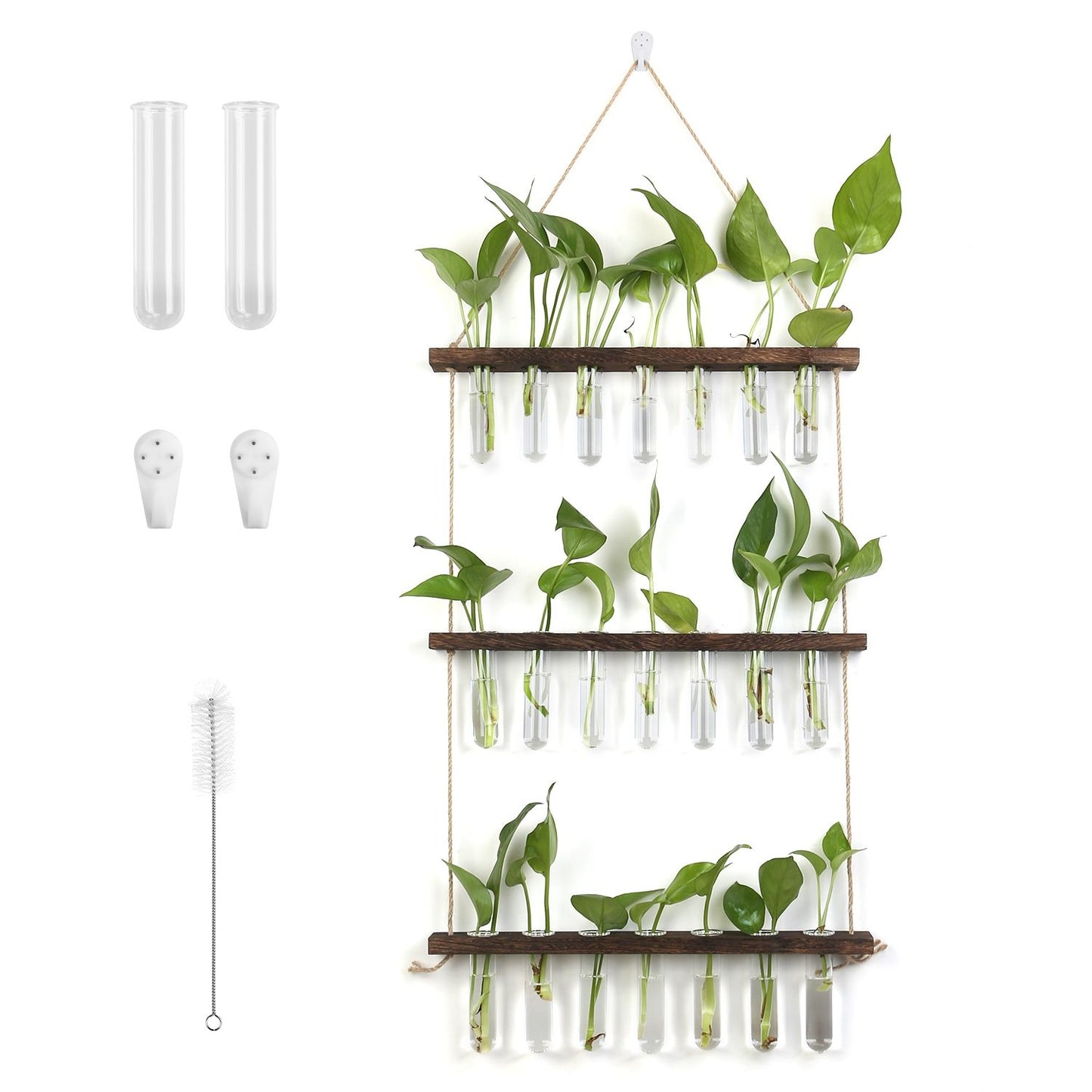 Wall-mounted plant holder with test tubes featuring vibrant green pothos cuttings, wooden shelves, and cleaning brush for easy maintenance.