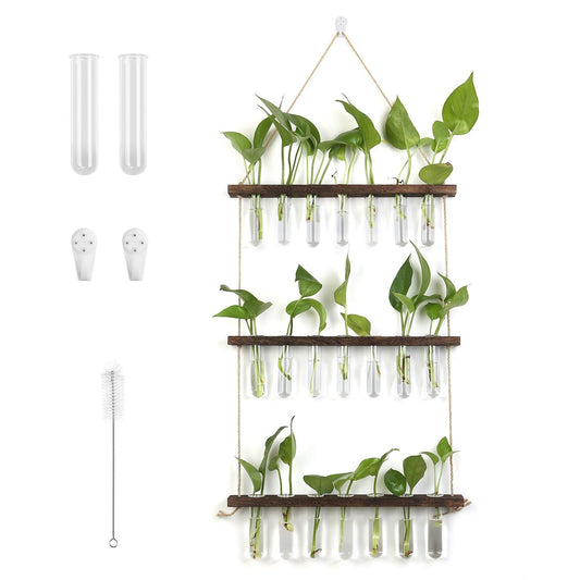 Wall-mounted plant holder with test tubes featuring vibrant green pothos cuttings, wooden shelves, and cleaning brush for easy maintenance.