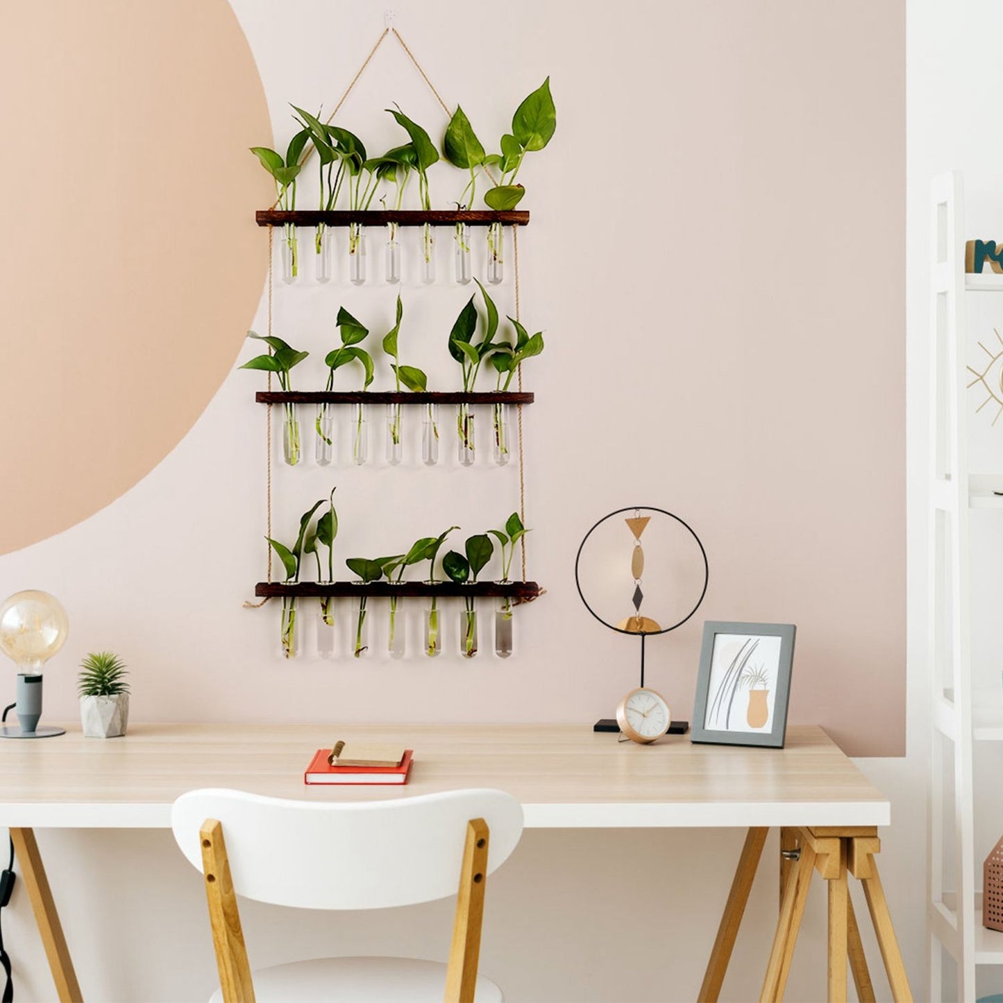 Indoor plant wall display featuring multiple green pothos plants in glass test tubes, arranged on wooden shelves against a soft pink backdrop in a modern workspace.