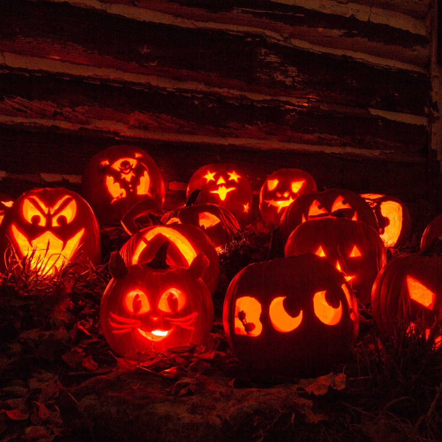 A vivid display of intricately carved Halloween pumpkins, glowing warmly in the dark, featuring whimsical and spooky designs such as a cat, a clown, and the word "BOO," set against a rustic wooden backdrop.